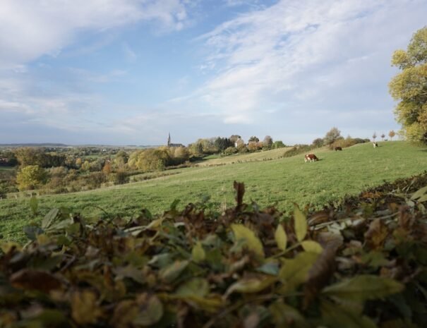 Wandelen Zuid Limburg